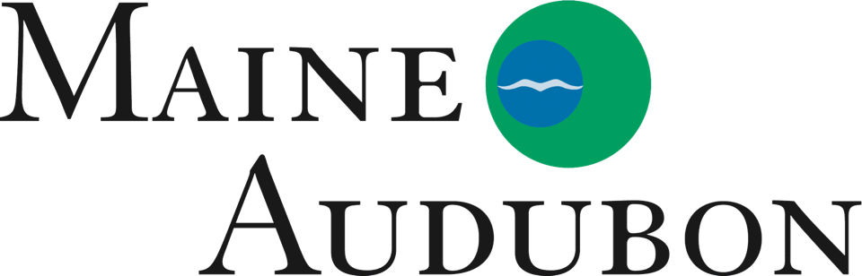 Maine Audubon