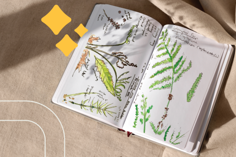 a nature journal