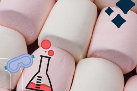 marshmallows appear behind a beaker and safety goggles